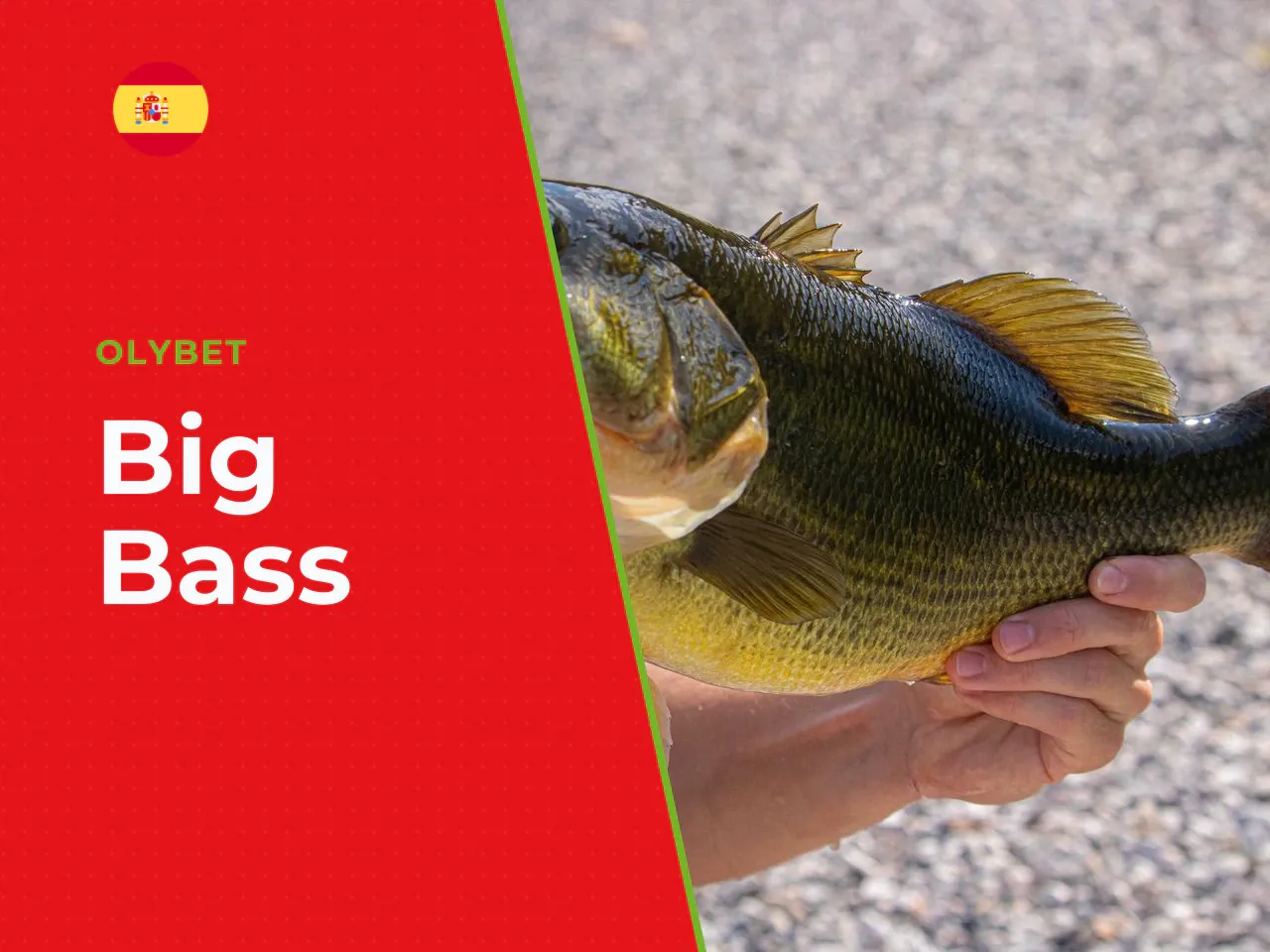 Big Bass Bonanza 1000 demo y en qué cambia frente a la versión base. Big Bass Bonanza 1000 es la entrega más reciente de la saga, lanzada en abril de 2025. Mantiene la cuadrícula clásica de 5 carretes