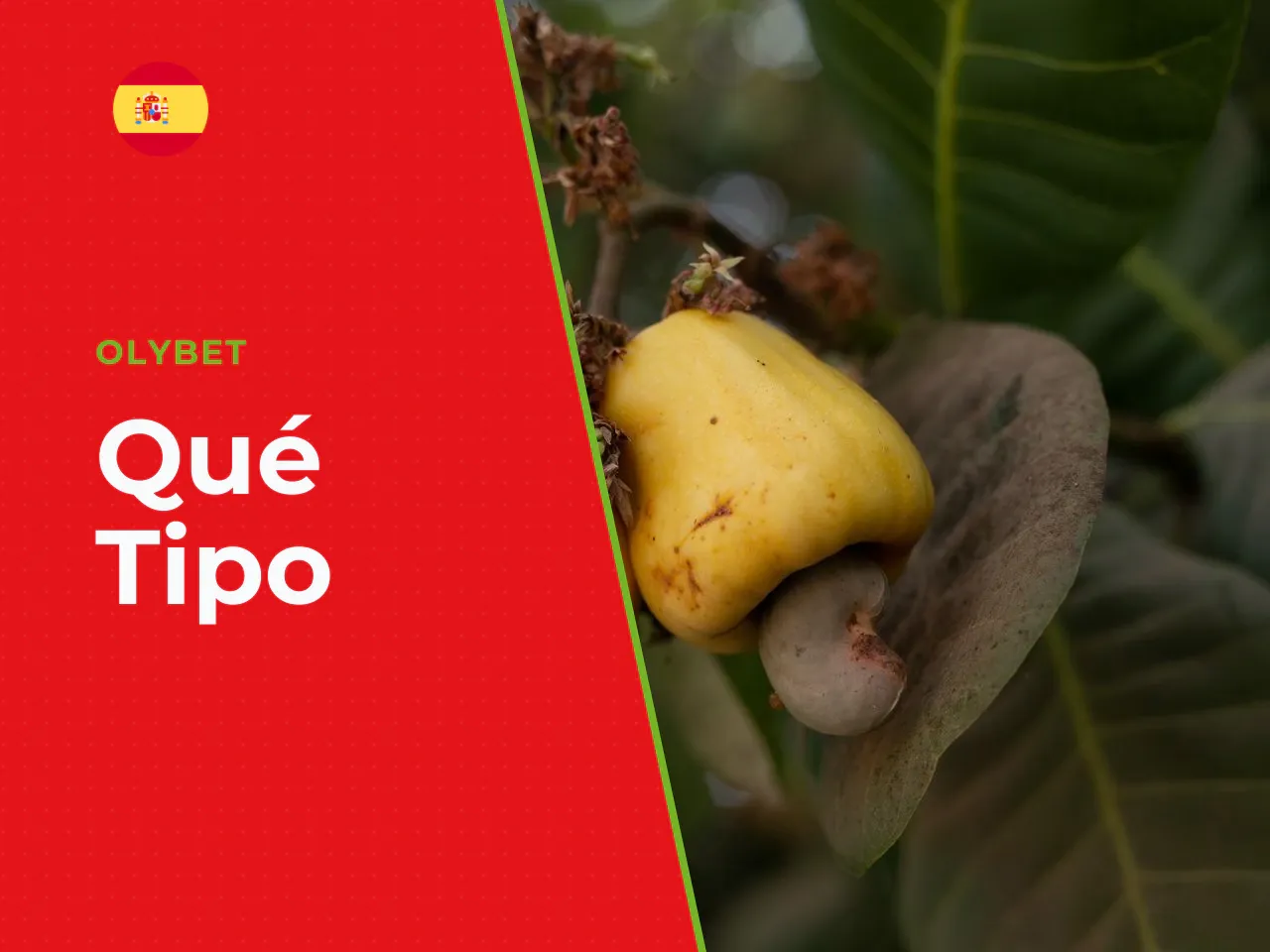 Qué tipo de bonos resultan aplicables. Los incentivos habituales para jugadores de slots incluyen el *free spins bonus* de bienvenida y las promociones de depósito alineadas con las condiciones de los