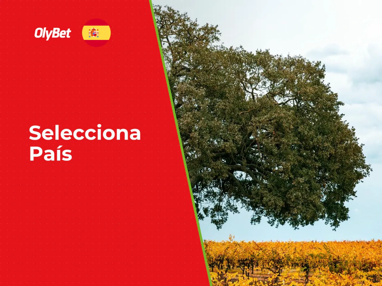 Qué pasos suele incluir el alta de usuario. 1. Accede al sitio web oficial de OlyBet España y pulsa el botón «REGISTRO» en la parte superior derecha. 2. **Paso 1**: selecciona tu país de residencia e 