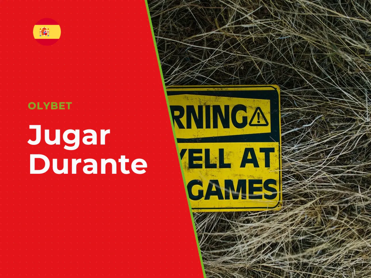 Señales de alerta de juego problemático. Si reconoce alguno de estos patrones en su comportamiento, considere buscar ayuda: - Jugar durante más tiempo o con más dinero del planeado. - Apostar para rec